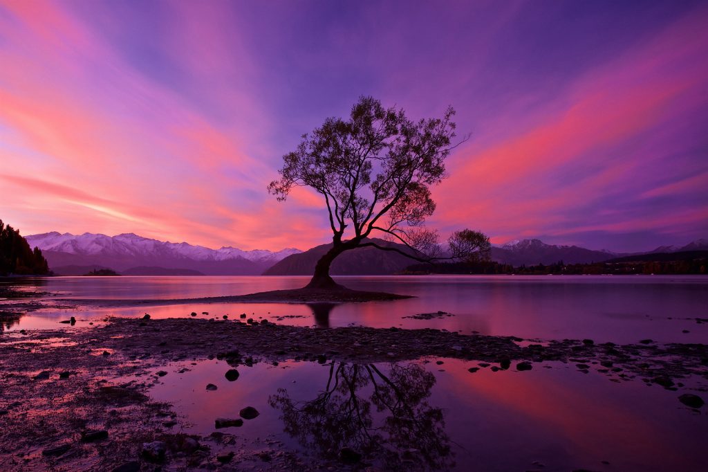 New Zealand