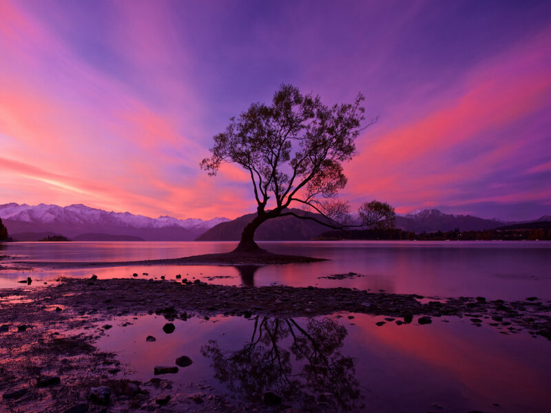 New Zealand