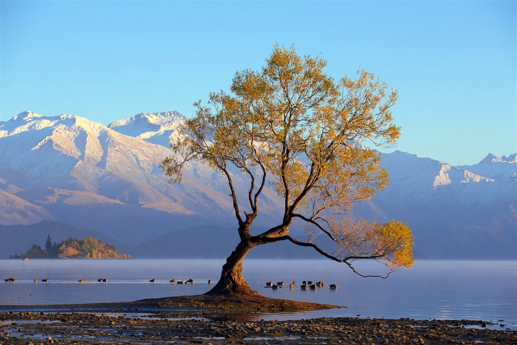 New Zealand