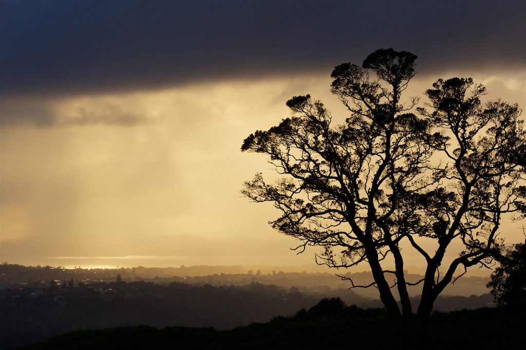 Auckland
